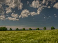 20150528_162003_Rundfahrt Biberach und Donau 1920.jpg